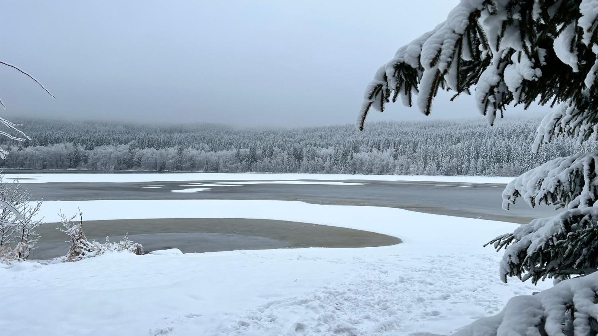 Hauslipno Bungalov Na Lipne Lipno nad Vltavou Dış mekan fotoğraf